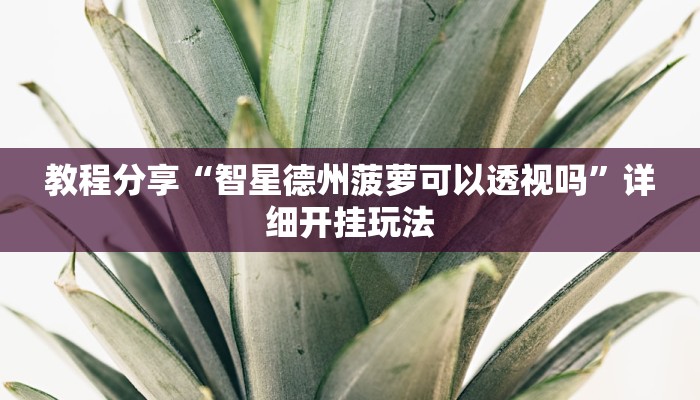 教程分享“智星德州菠萝可以透视吗”详细开挂玩法