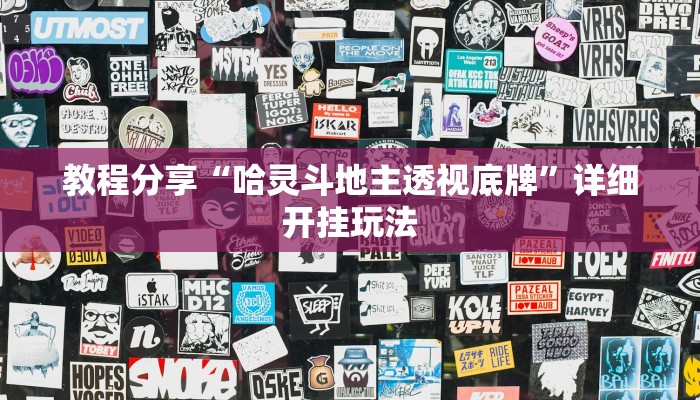 教程分享“哈灵斗地主透视底牌”详细开挂玩法