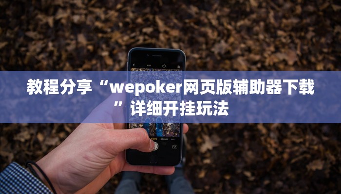 教程分享“wepoker网页版辅助器下载”详细开挂玩法