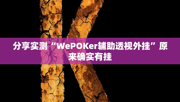 分享实测“WePOKer辅助透视外挂”原来确实有挂