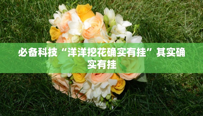必备科技“洋洋挖花确实有挂”其实确实有挂