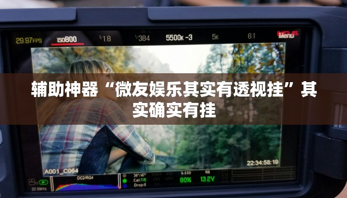 辅助神器“微友娱乐其实有透视挂”其实确实有挂