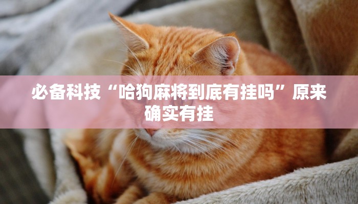 必备科技“哈狗麻将到底有挂吗”原来确实有挂