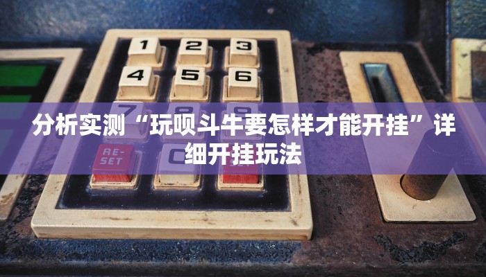 分析实测“玩呗斗牛要怎样才能开挂”详细开挂玩法 分析实测“玩呗斗牛要怎样才能开挂”详细开挂玩法