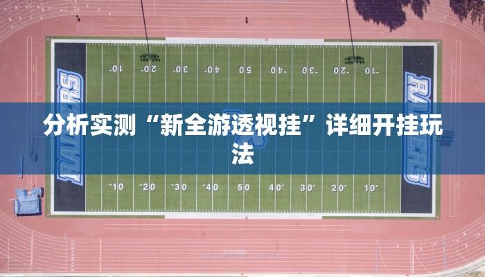 分析实测“新全游透视挂”详细开挂玩法