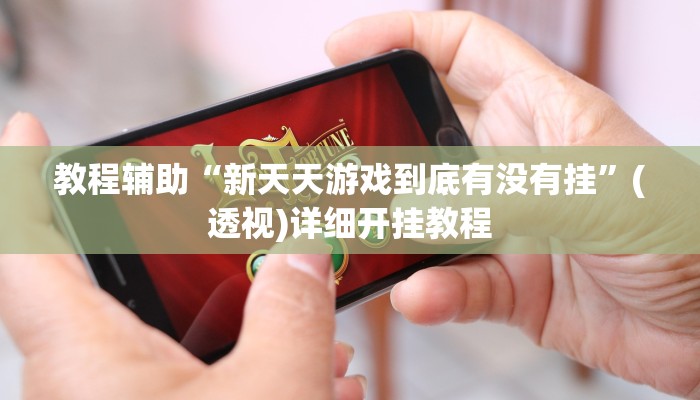 教程辅助“新天天游戏到底有没有挂”(透视)详细开挂教程