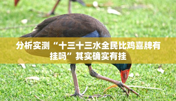 分析实测“十三十三水全民比鸡喜牌有挂吗”其实确实有挂