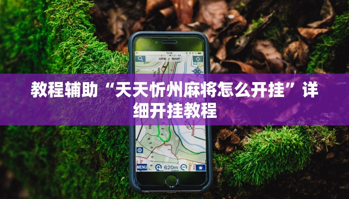 教程辅助“天天忻州麻将怎么开挂”详细开挂教程 教程辅助“天天忻州麻将怎么开挂”详细开挂教程