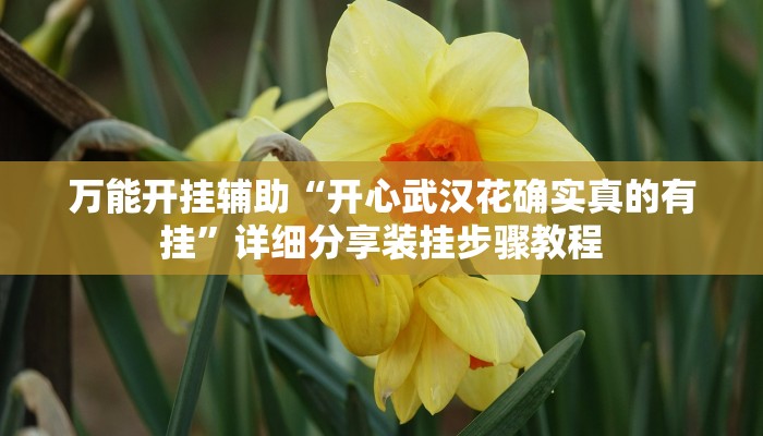 万能开挂辅助“开心武汉花确实真的有挂”详细分享装挂步骤教程 万能开挂辅助“开心武汉花确实真的有挂”详细分享装挂步骤教程