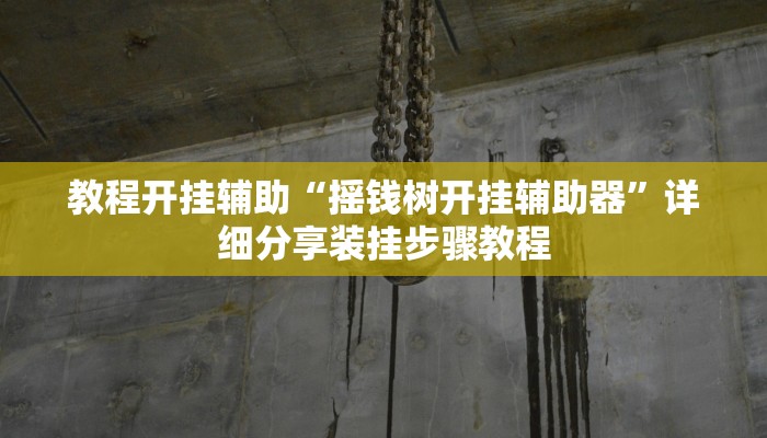 教程开挂辅助“摇钱树开挂辅助器”详细分享装挂步骤教程 教程开挂辅助“摇钱树开挂辅助器”详细分享装挂步骤教程