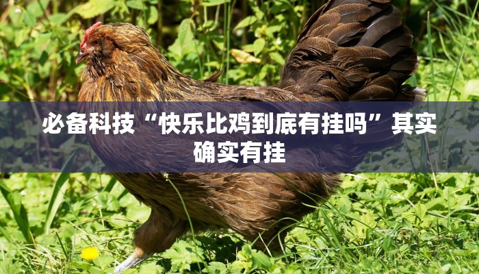 必备科技“快乐比鸡到底有挂吗”其实确实有挂
