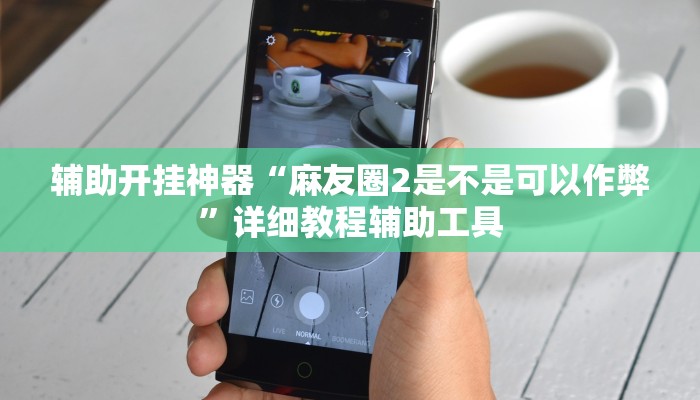 辅助开挂神器“麻友圈2是不是可以作弊”详细教程辅助工具