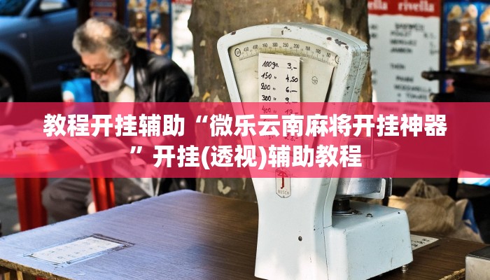 教程开挂辅助“微乐云南麻将开挂神器”开挂(透视)辅助教程 教程开挂辅助“微乐云南麻将开挂神器”开挂(透视)辅助教程