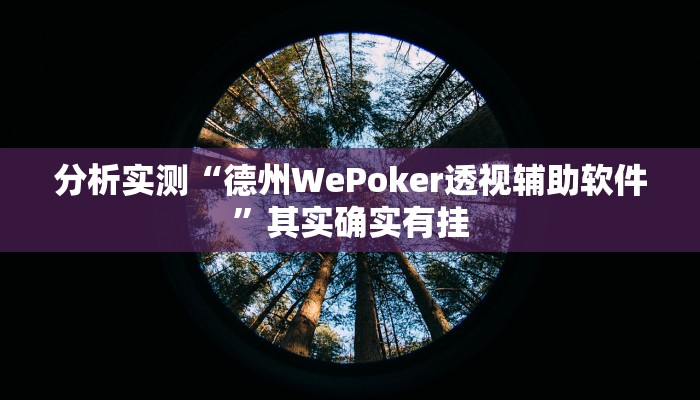 分析实测“德州WePoker透视辅助软件”其实确实有挂