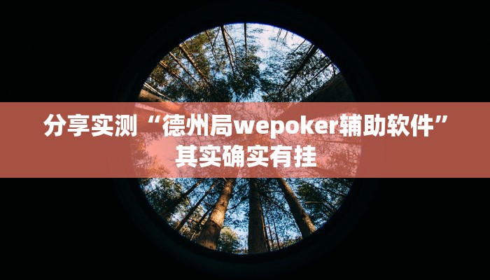 分享实测“德州局wepoker辅助软件”其实确实有挂