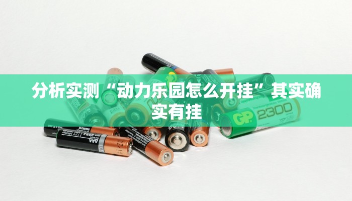 分析实测“动力乐园怎么开挂”其实确实有挂 分析实测“动力乐园怎么开挂”其实确实有挂