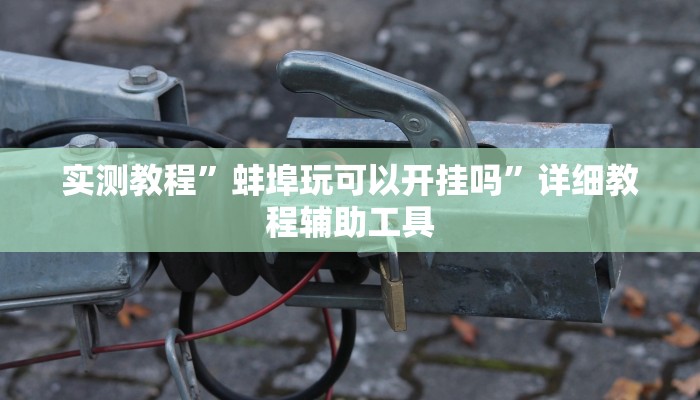 实测教程”蚌埠玩可以开挂吗”详细教程辅助工具