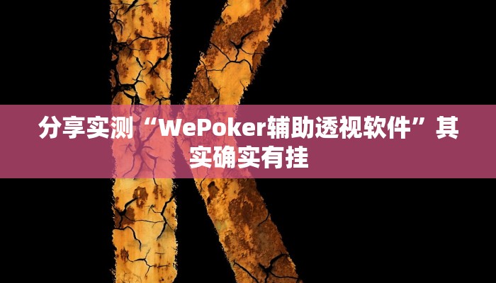 分享实测“WePoker辅助透视软件”其实确实有挂