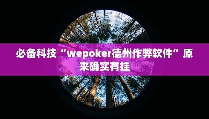 必备科技“wepoker德州作弊软件”原来确实有挂