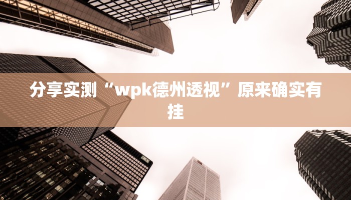 分享实测“wpk德州透视”原来确实有挂