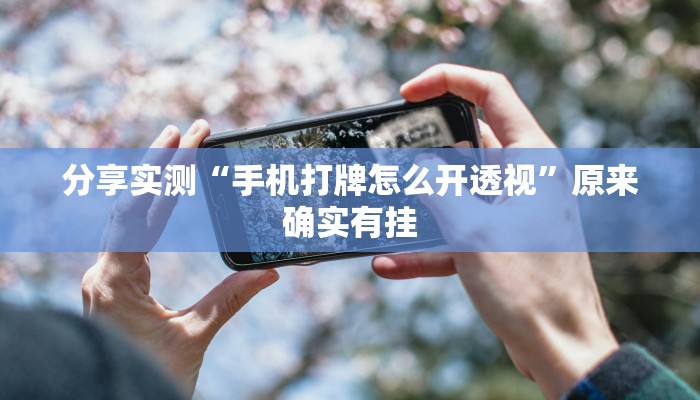 分享实测“手机打牌怎么开透视”原来确实有挂