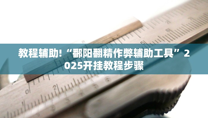教程辅助!“鄱阳翻精作弊辅助工具”2025开挂教程步骤 教程辅助!“鄱阳翻精作弊辅助工具”2025开挂教程步骤