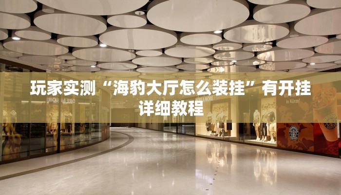 玩家实测“海豹大厅怎么装挂”有开挂详细教程