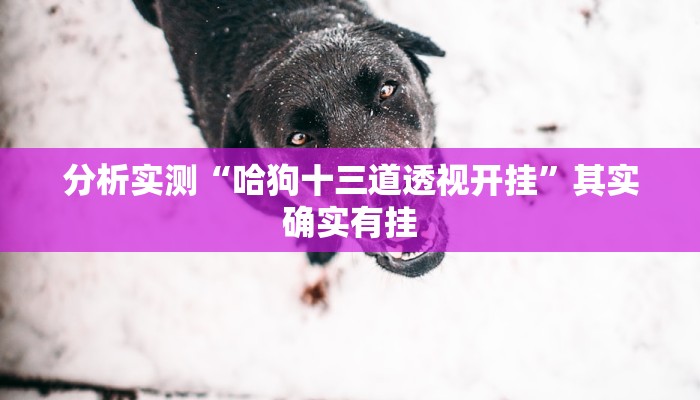 分析实测“哈狗十三道透视开挂”其实确实有挂 分析实测“哈狗十三道透视开挂”其实确实有挂