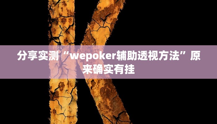 分享实测“wepoker辅助透视方法”原来确实有挂