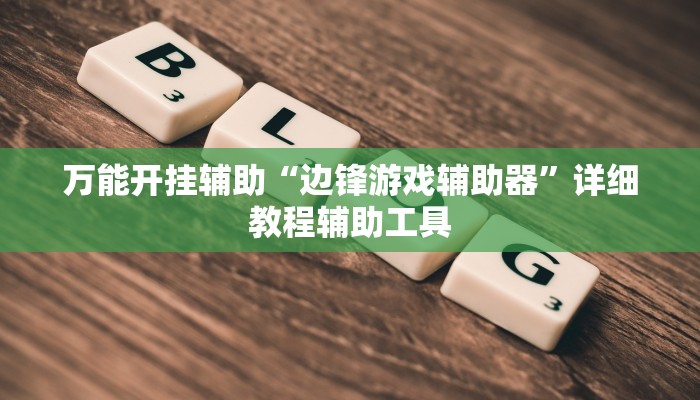万能开挂辅助“边锋游戏辅助器”详细教程辅助工具