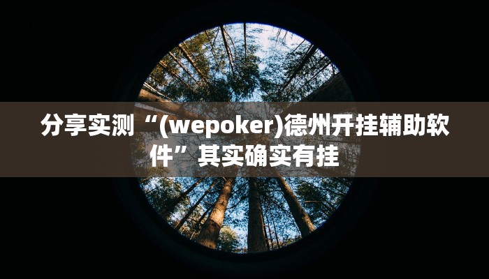 分享实测“(wepoker)德州开挂辅助软件”其实确实有挂