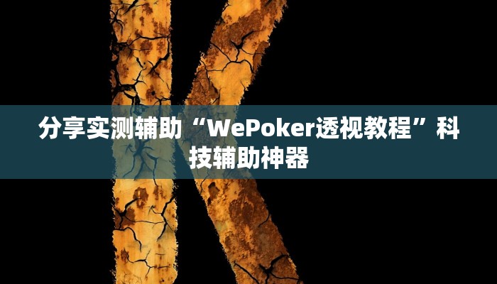 分享实测辅助“WePoker透视教程”科技辅助神器